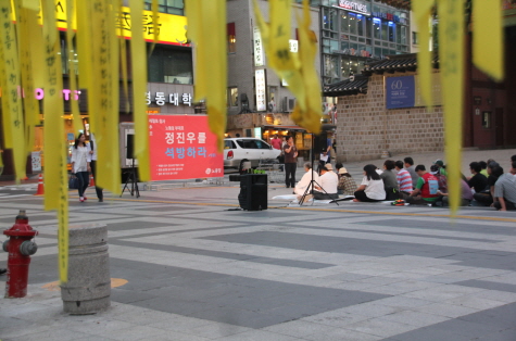 20140618 정진우 대한문-154.JPG