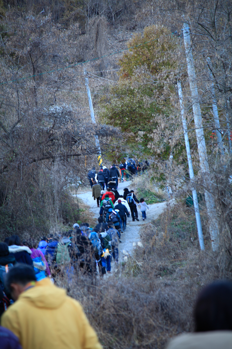 131130-Canon EOS 5D Mark II-9088.jpg