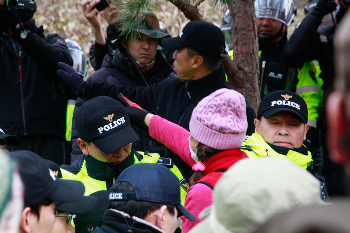 131201-Canon EOS 5D Mark II-1048.jpg