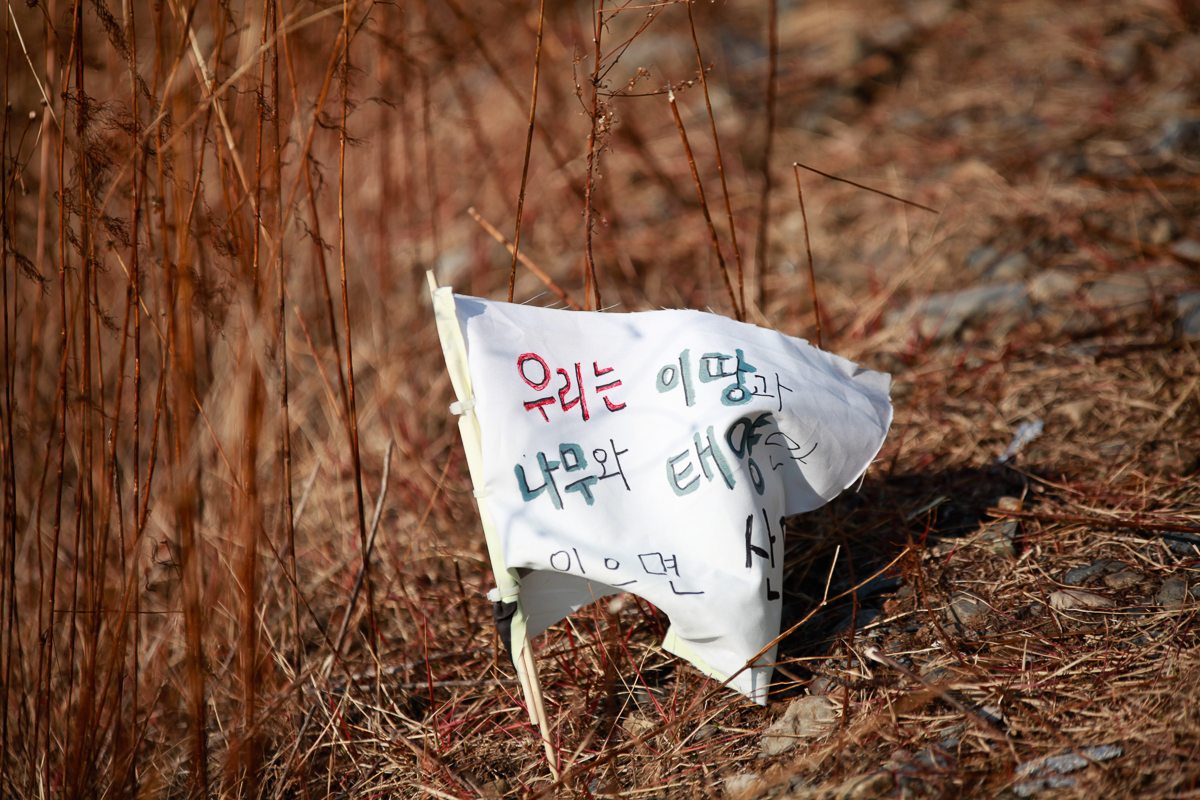 131201-Canon EOS 5D Mark II-2937.jpg