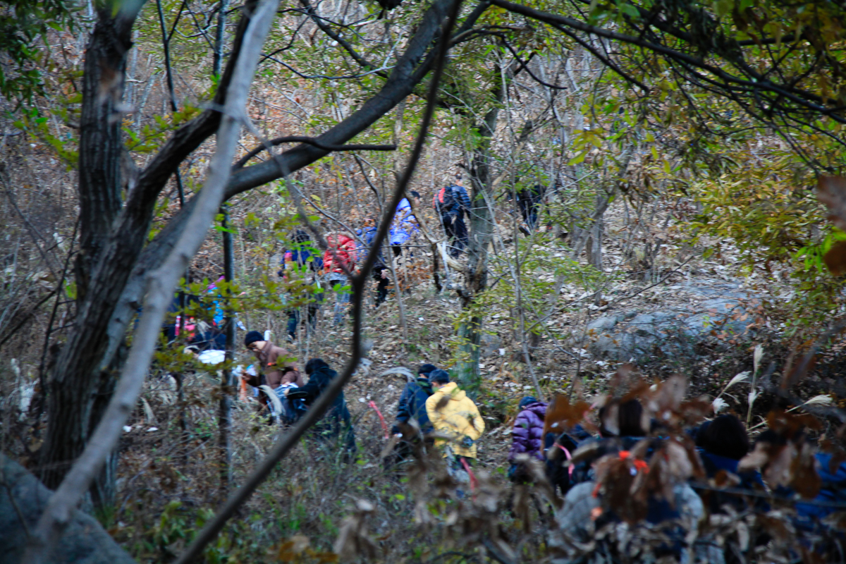 131130-Canon EOS 5D Mark II-9153.jpg